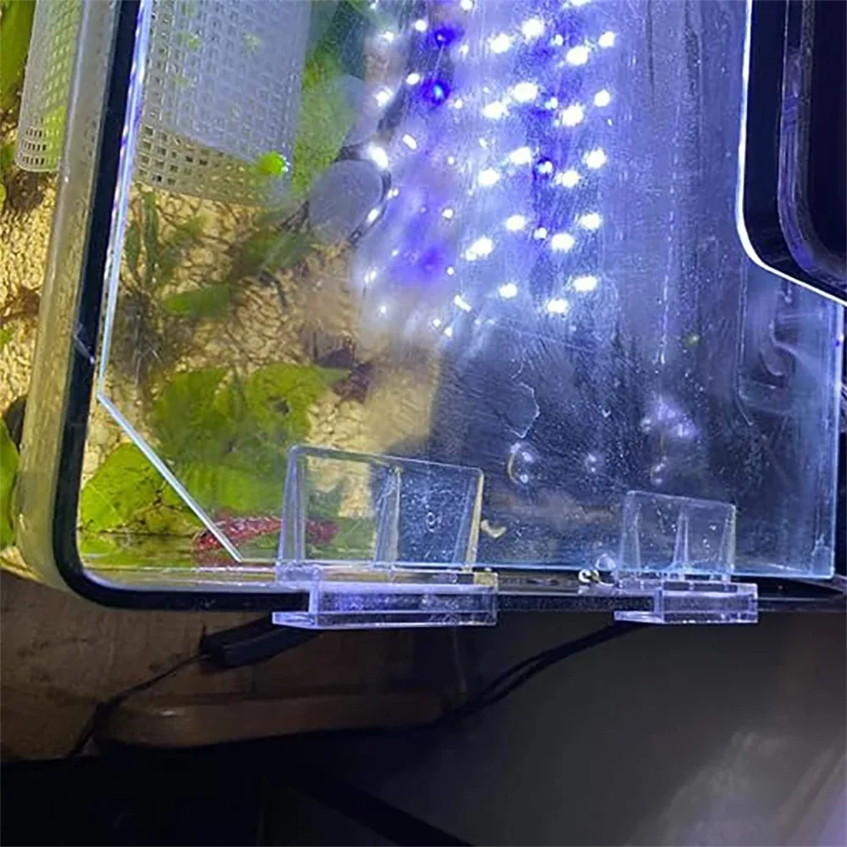 10Pcs Transparent Acrylic Fish - Aquarium Fish Quarantine のレビューと価格