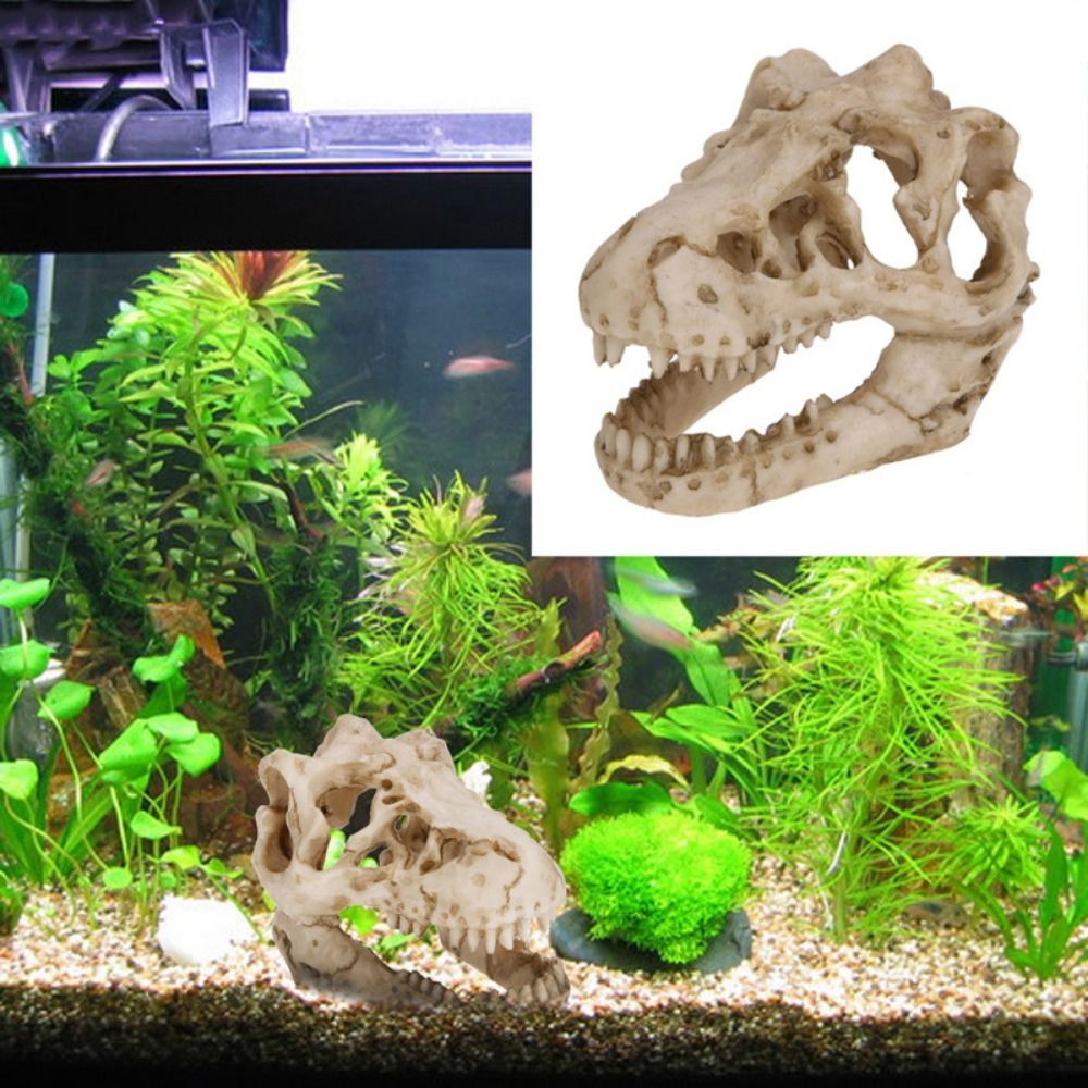 Creative Simulation Dinosaur S - Aquarium Fish Hide のレビューと価格