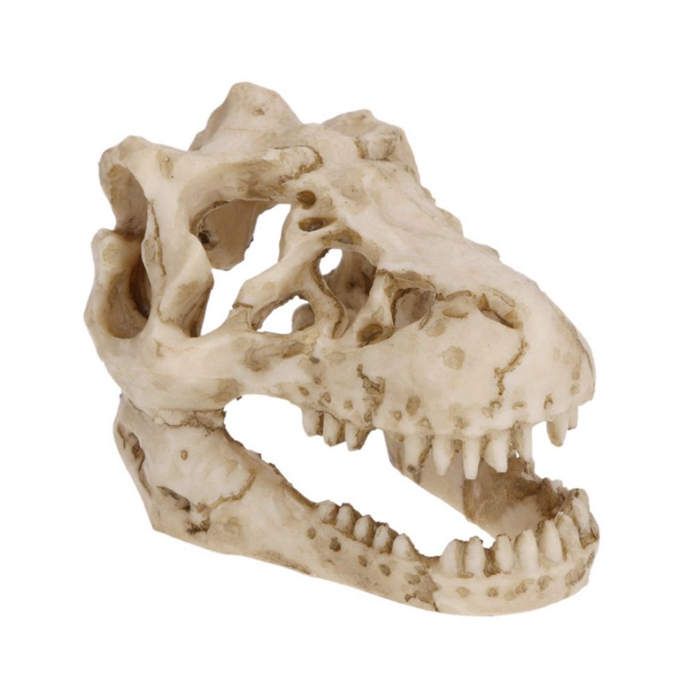 Creative Simulation Dinosaur S - Aquarium Fish Hide のレビューと価格