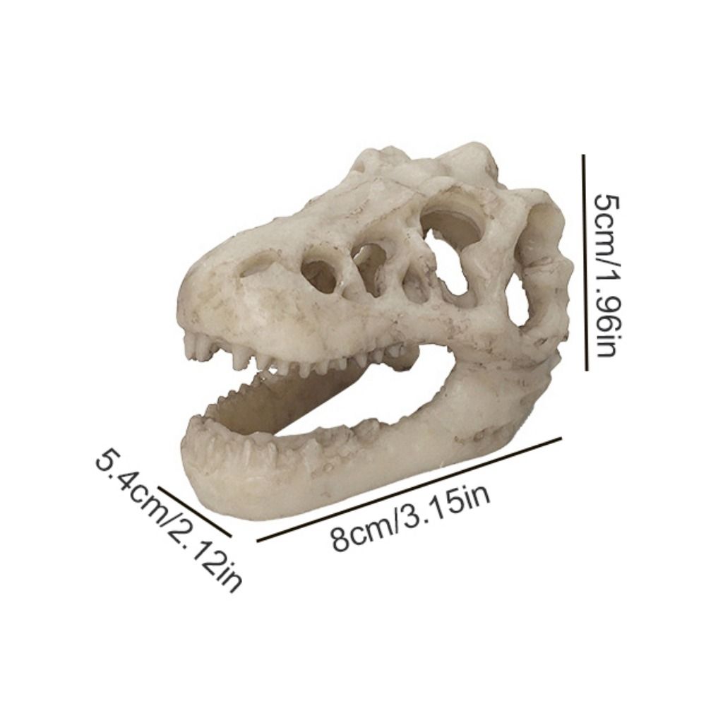 Creative Simulation Dinosaur S - Aquarium Fish Hide のレビューと価格