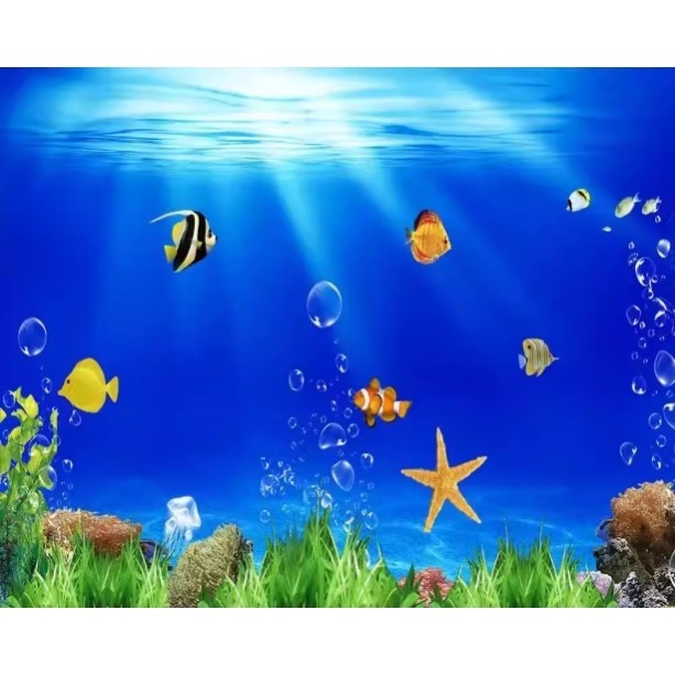 High Definition 3D Aquarium Ba - Aquarium Fish Of The World のレビューと価格