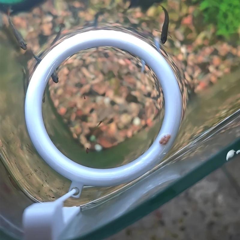 1 Set 3D Printed Floating Aqua - Aquarium Fish Auto Feeder のレビューと価格