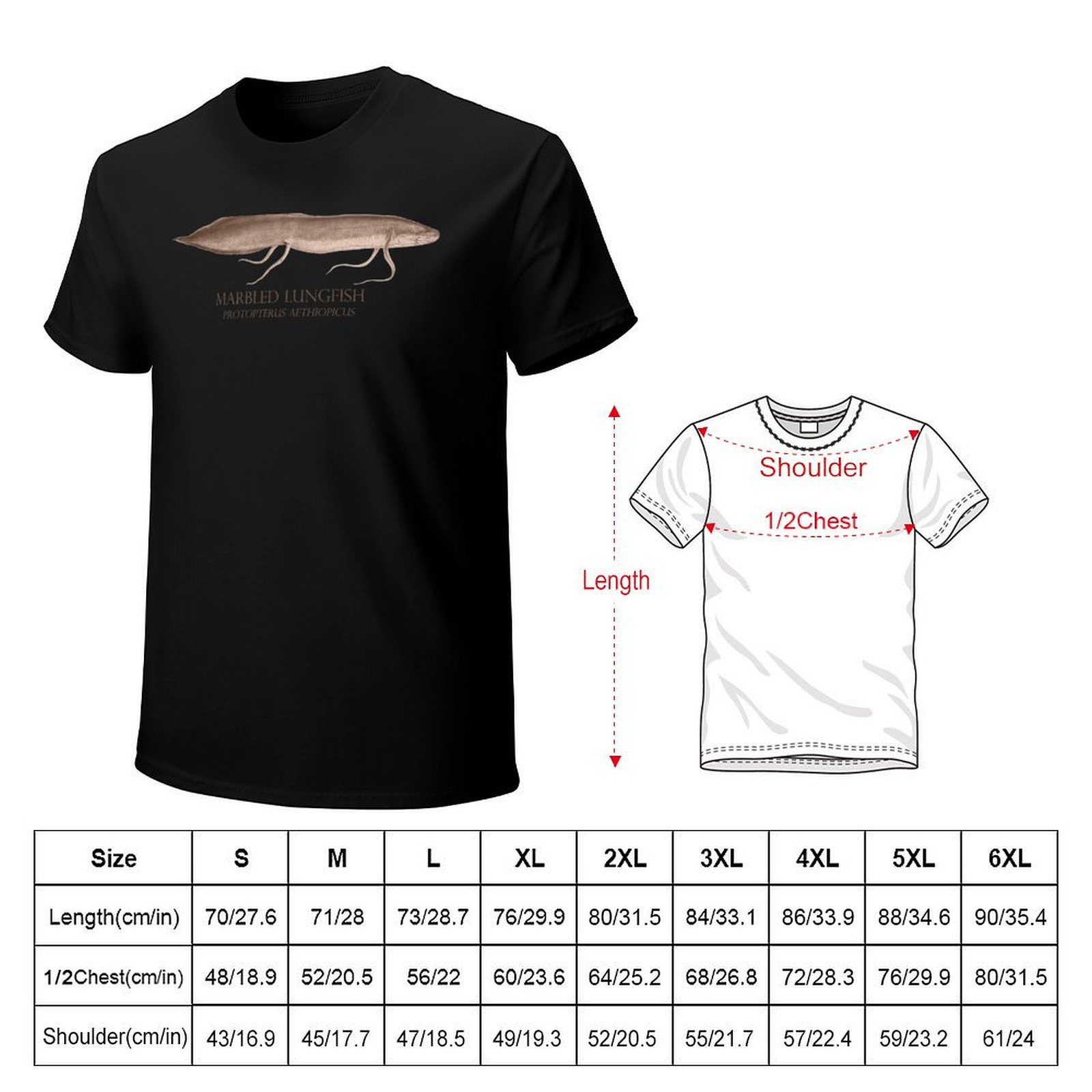 Lungfish Protopterus Aquarium  - Aquarium Fish Monster のレビューと価格