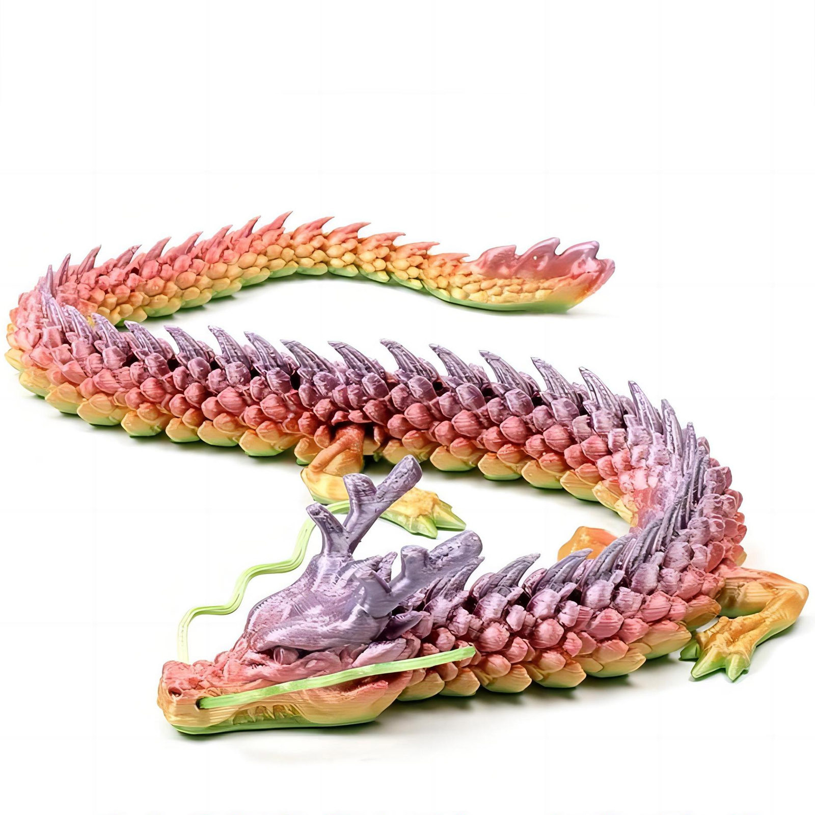 3D Printed Conjoined Dragon Or - Aquarium Fish Cartoon のレビューと価格