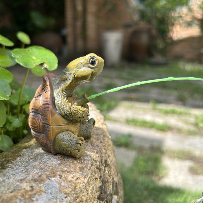 Turtle fishing fish tank aquar - Aquarium Fish House のレビューと価格