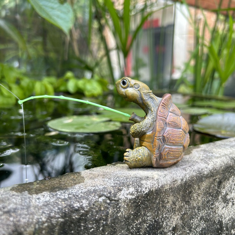 Turtle fishing fish tank aquar - Aquarium Fish House のレビューと価格