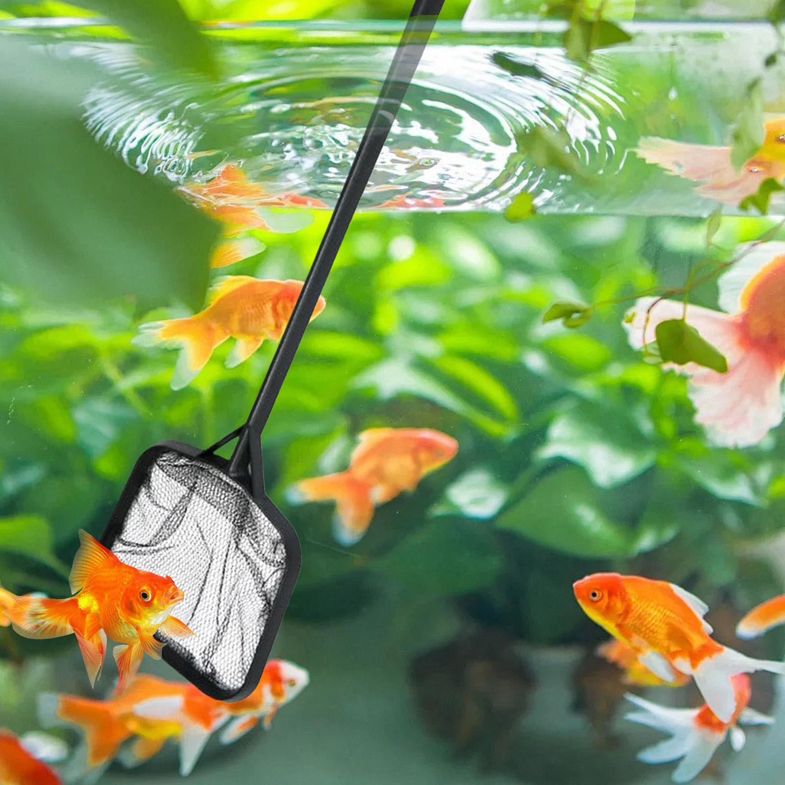 Pool Nets for Cleaning Portabl - Aquarium Fish House のレビューと価格