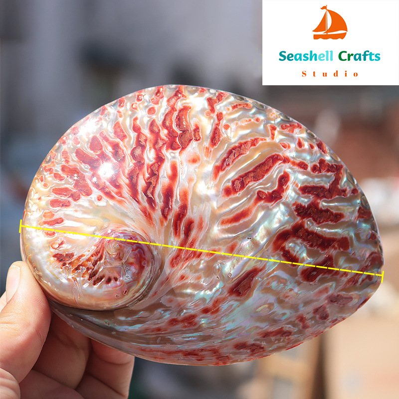 Home Decoration Red Pattern Ab - Aquarium Fish Cartoon のレビューと価格