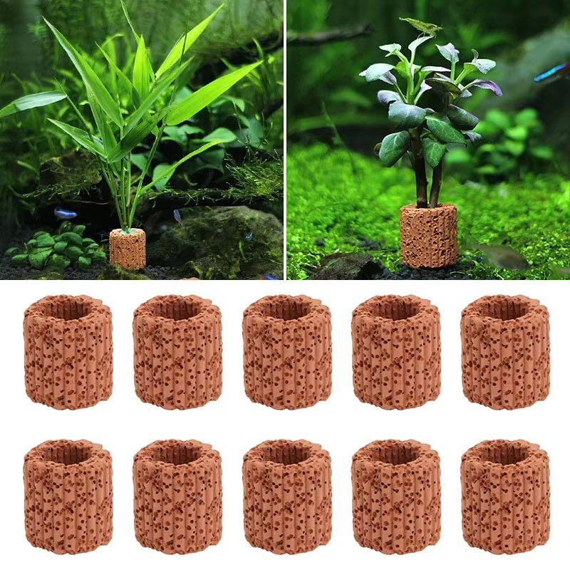 Aquatic Plant Fixed Ring for A - Aquarium Fish Cartoon のレビューと価格