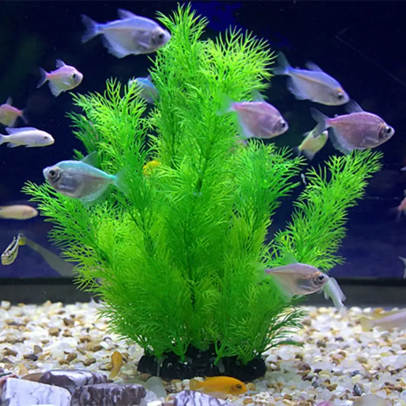 Artificial Aquarium Decor Plan - Aquarium Fish Hide のレビューと価格