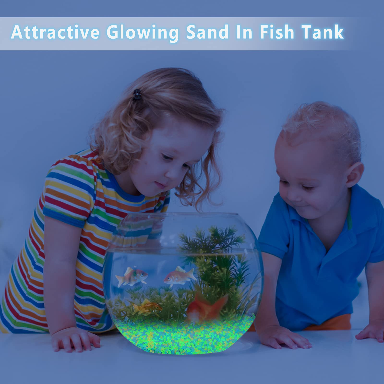 1000Pcs Luminous Sand Glow In  - Aquarium Fish House のレビューと価格