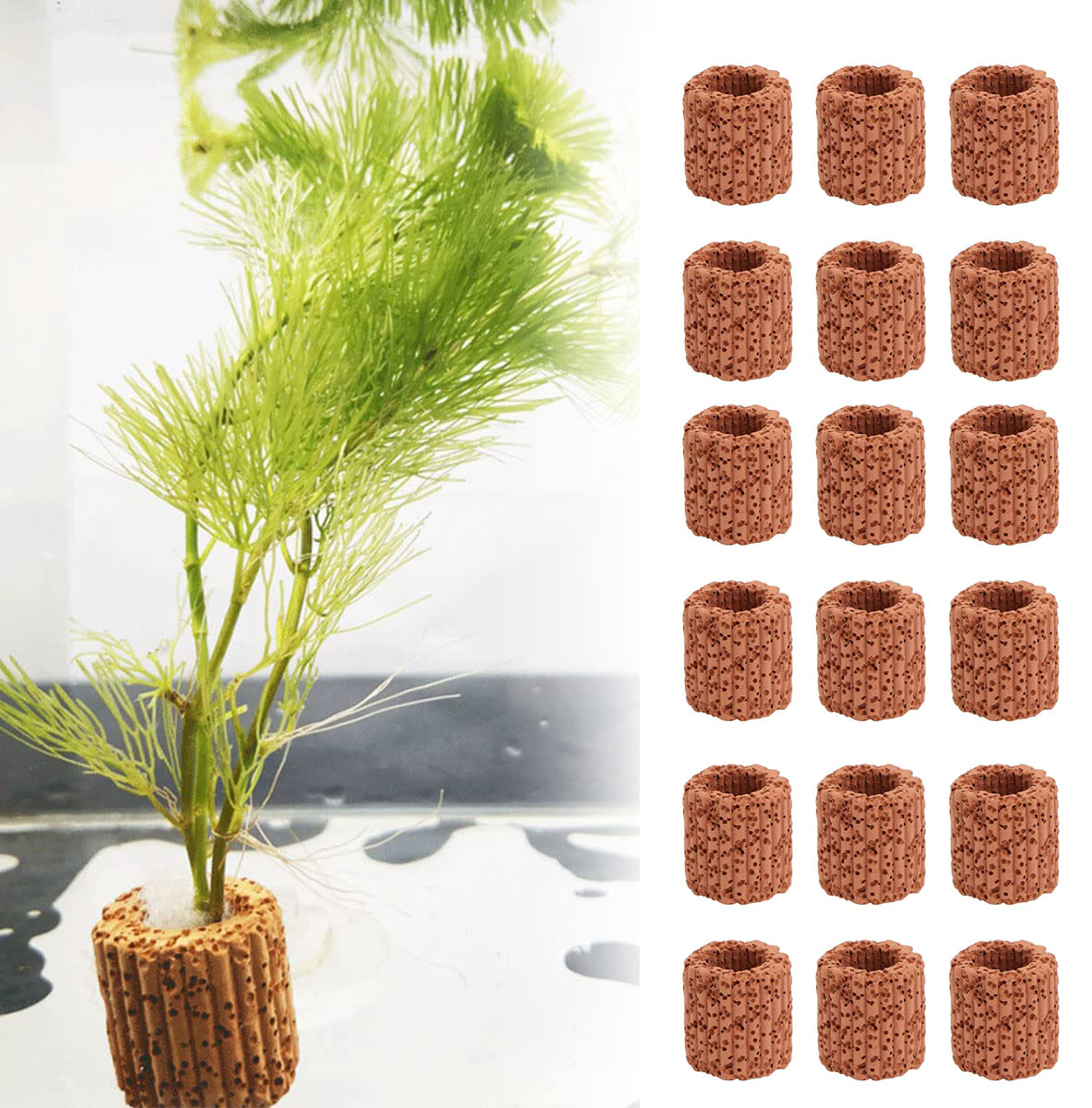 10/20Pcs Aquatic Water Plant F - Aquarium Fish Cartoon のレビューと価格