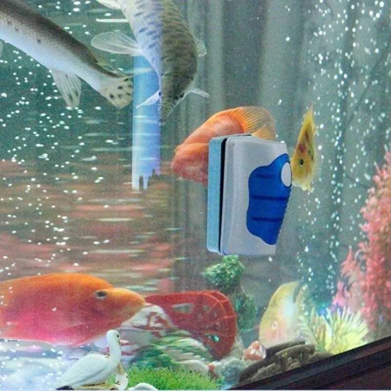 Fish Tank Glass Scraper Cleane - Aquarium Fish Quarantine のレビューと価格