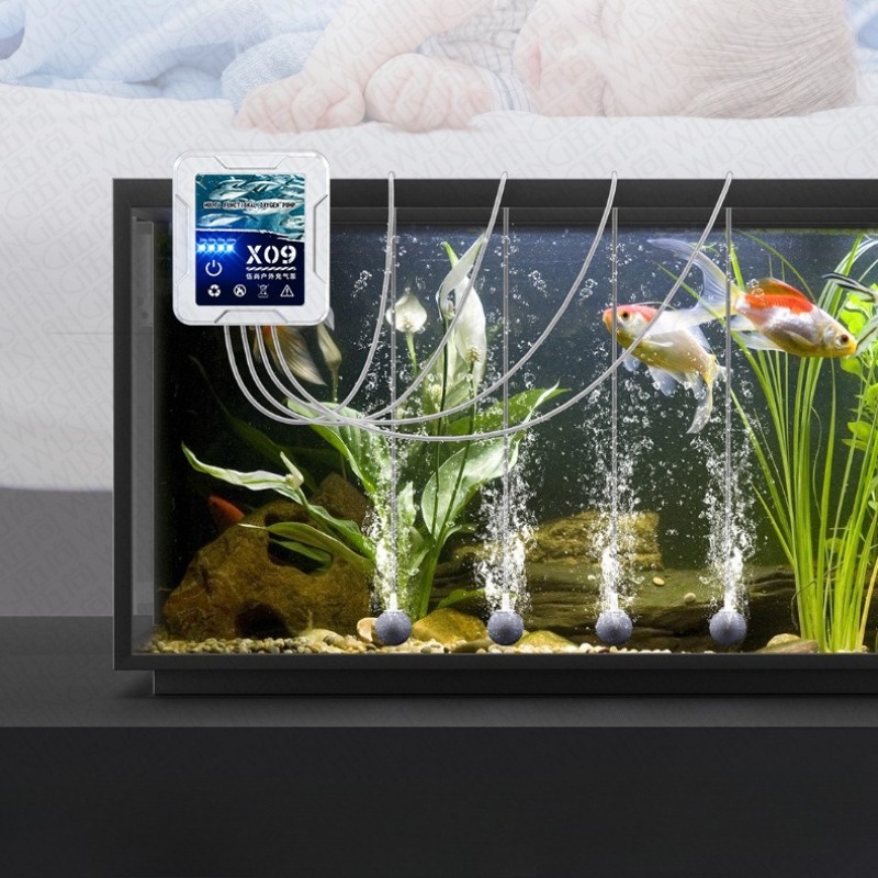 Aquarium Accessories Electric  - Aquarium Fish Market のレビューと価格