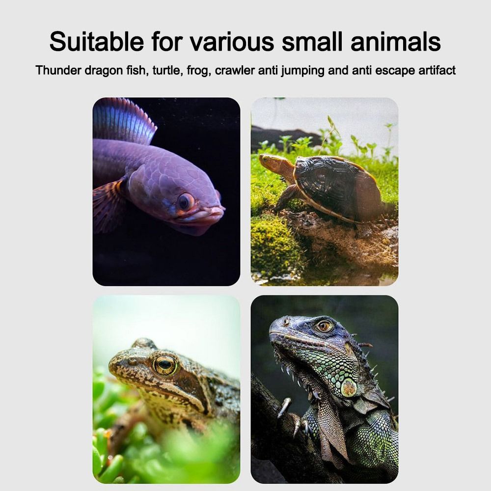 Durable Magnetic Fish Tank Lid - Aquarium Fish Jumping のレビューと価格