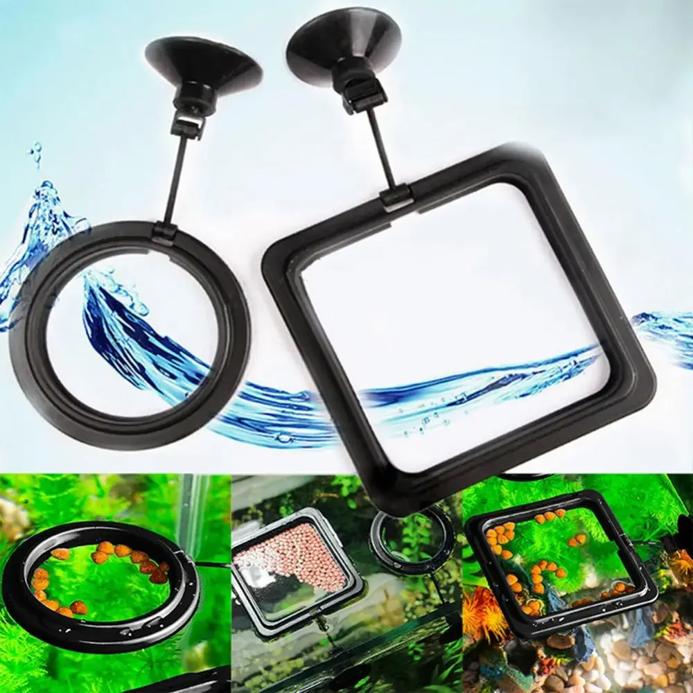 Feed Suction Cup Aquarium Feed - Aquarium Fish Auto Feeder のレビューと価格