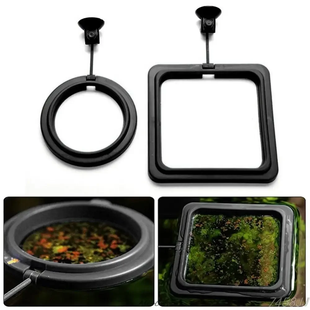 Feed Suction Cup Aquarium Feed - Aquarium Fish Auto Feeder のレビューと価格
