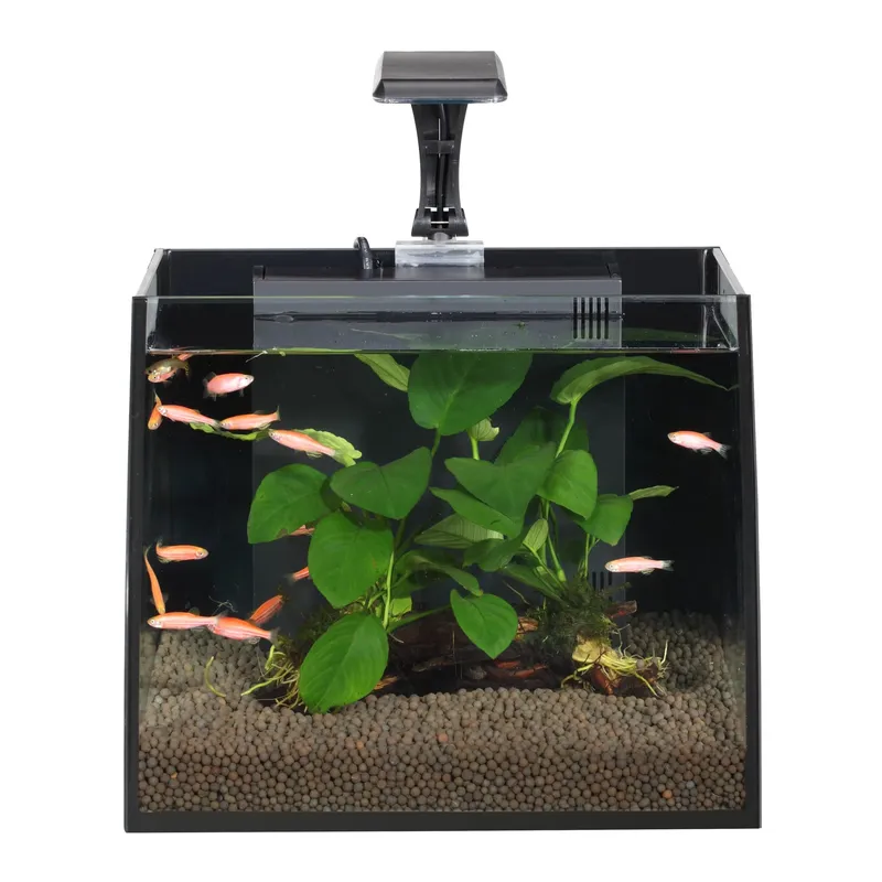 Nano Aquarium Trapezrium Ultra - Aquarium Fish Market のレビューと価格