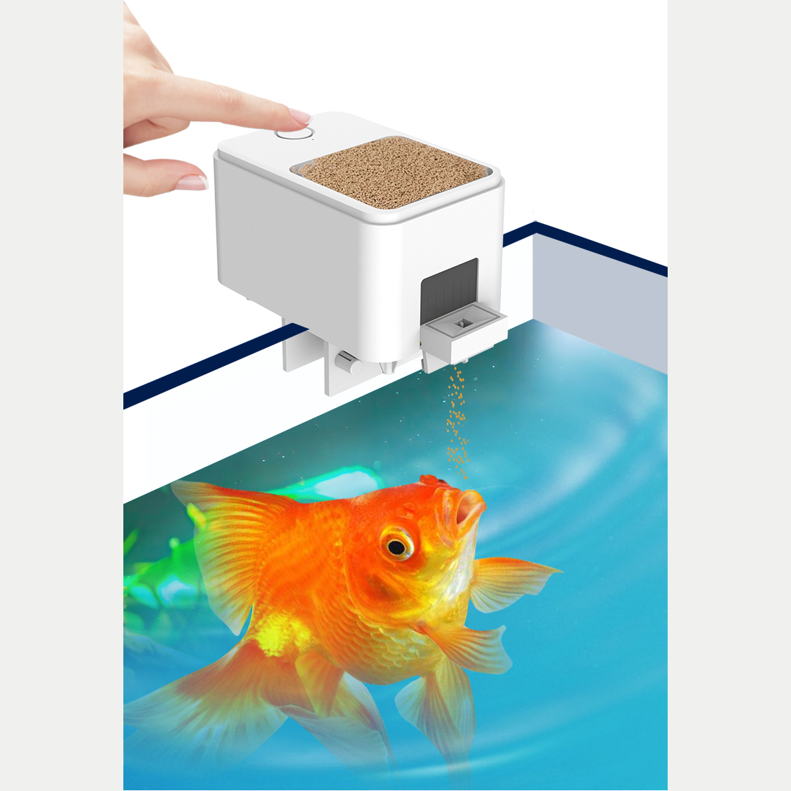 1PC WIFI/Button Version automa - Aquarium Fish Auto Feeder のレビューと価格