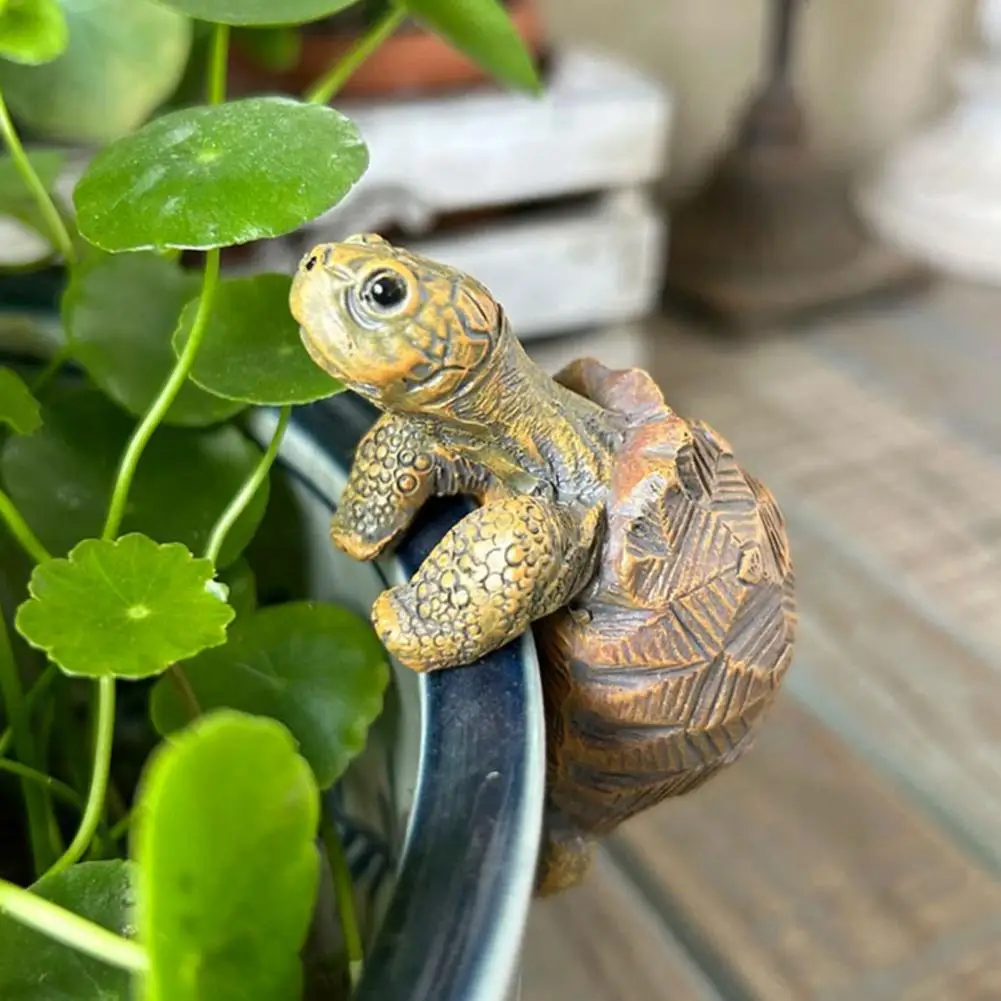 Fishing Turtle Hanging Turtle  - Aquarium Fish House のレビューと価格