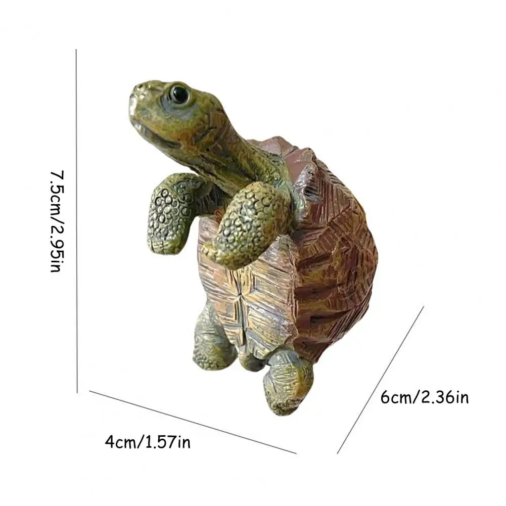 Fishing Turtle Hanging Turtle  - Aquarium Fish House のレビューと価格