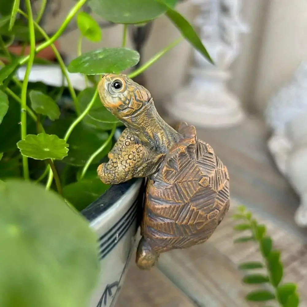 Fishing Turtle Hanging Turtle  - Aquarium Fish House のレビューと価格