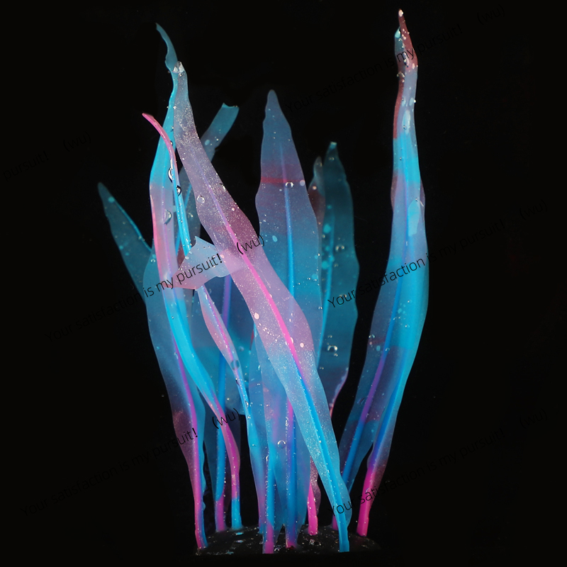 Simulated Kelp Plant Decoratio - Aquarium Fish Of The World のレビューと価格