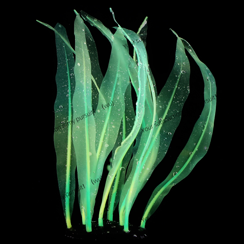 Simulated Kelp Plant Decoratio - Aquarium Fish Of The World のレビューと価格