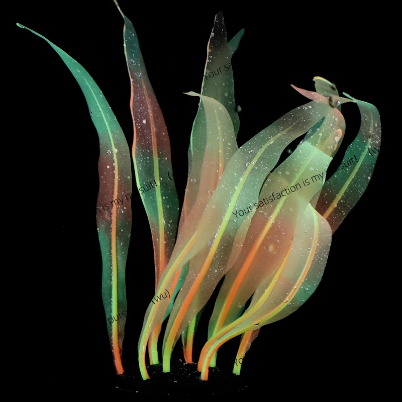 Simulated Kelp Plant Decoratio - Aquarium Fish Of The World のレビューと価格