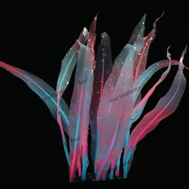 Simulated Kelp Plant Decoratio - Aquarium Fish Of The World のレビューと価格