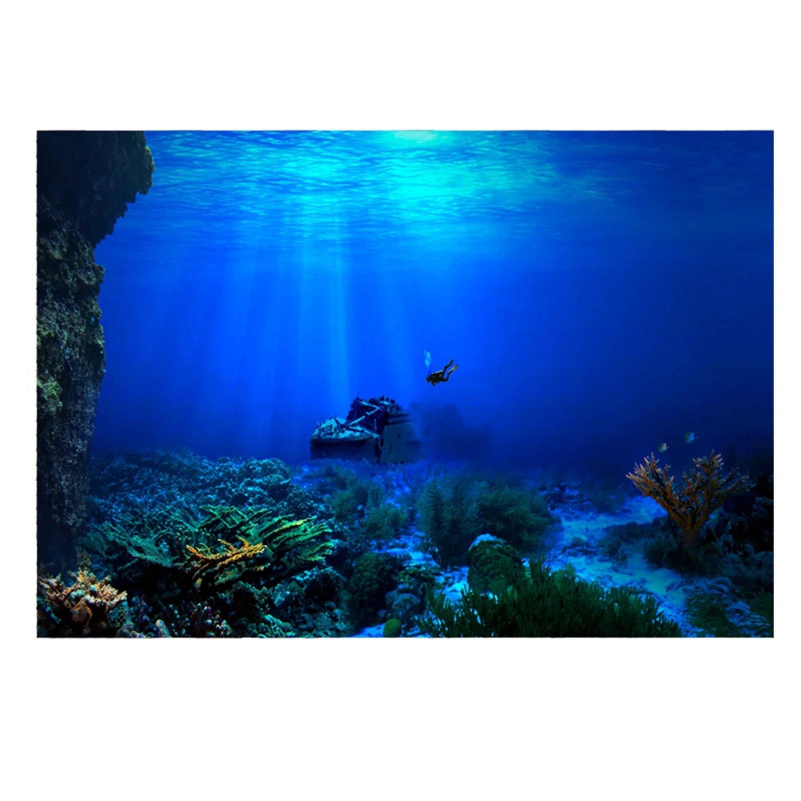 Rainforest Aquarium Background - Aquarium Fish Of The World のレビューと価格