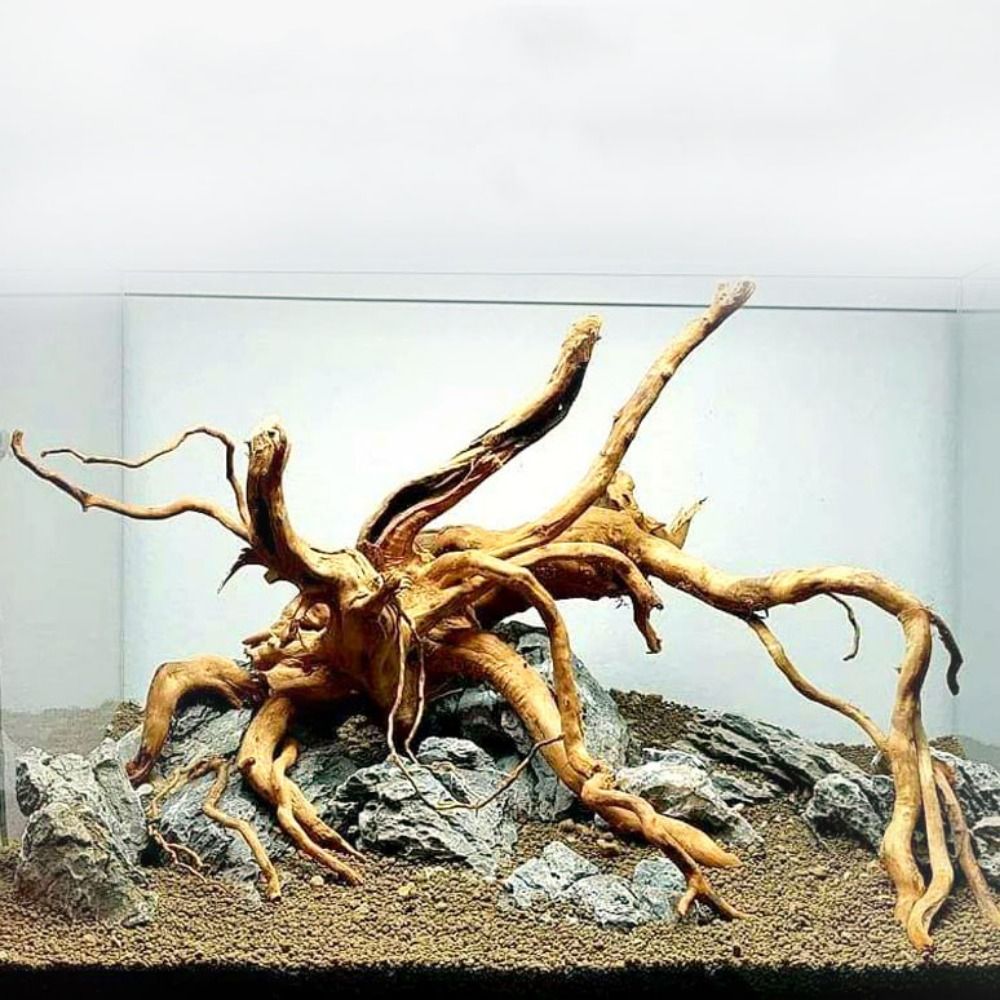 Natural Tree Trunk Aquarium De - Aquarium Fish Hide のレビューと価格