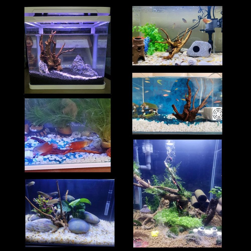 Natural Tree Trunk Aquarium De - Aquarium Fish Hide のレビューと価格