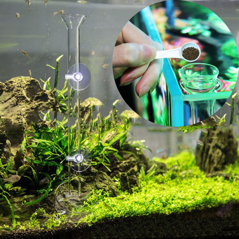 Glass Aquarium Feeder Tube Dis - Aquarium Fish Auto Feeder のレビューと価格