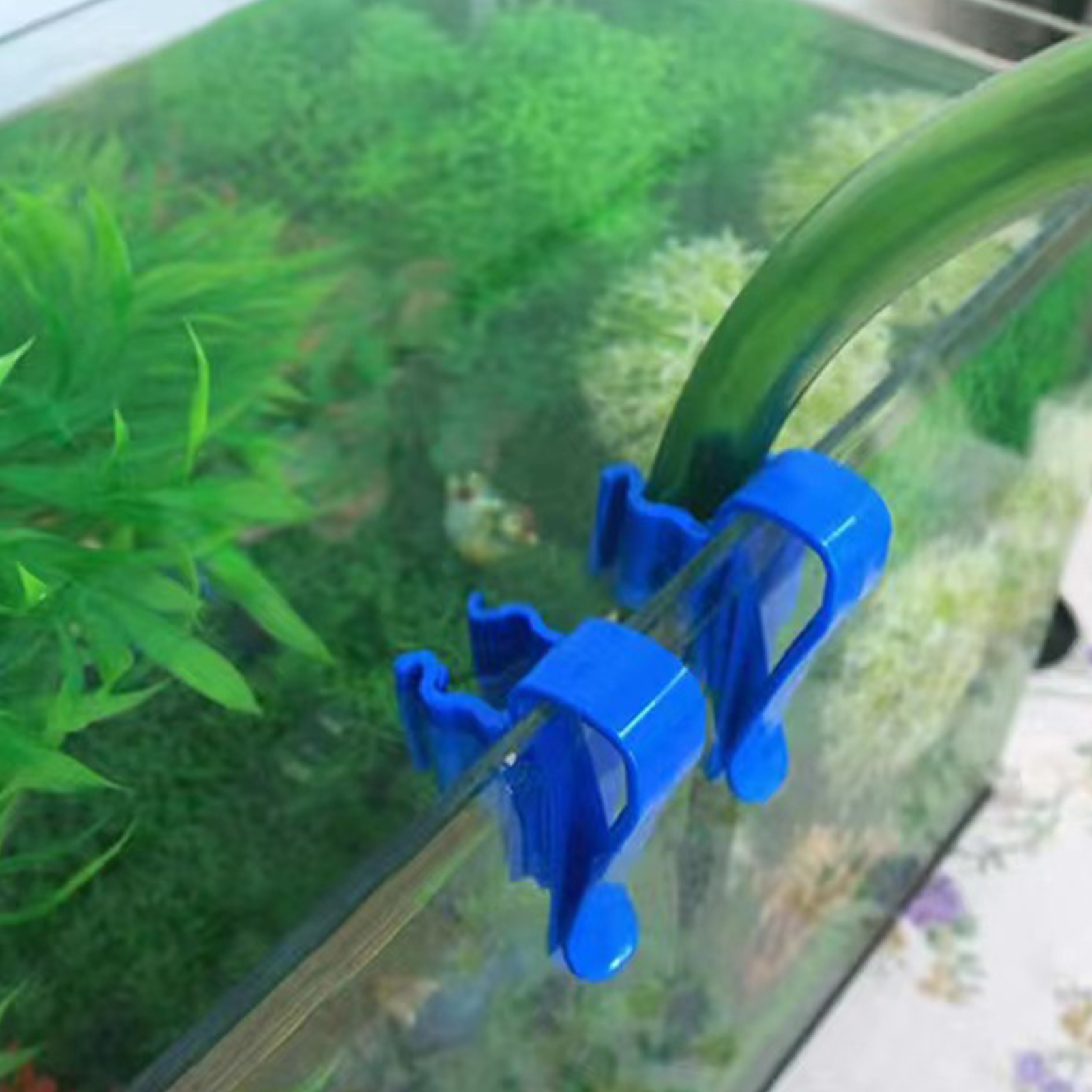 Aquarium Tube Holder Clip Fish - Aquarium Fish Quarantine のレビューと価格