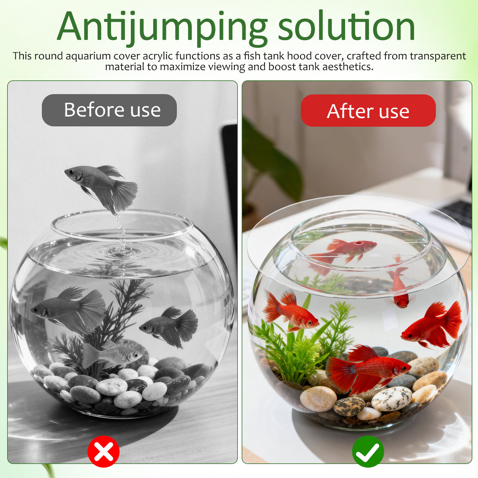 Round Acrylic Aquarium Cover 2 - Aquarium Fish Jumping のレビューと価格