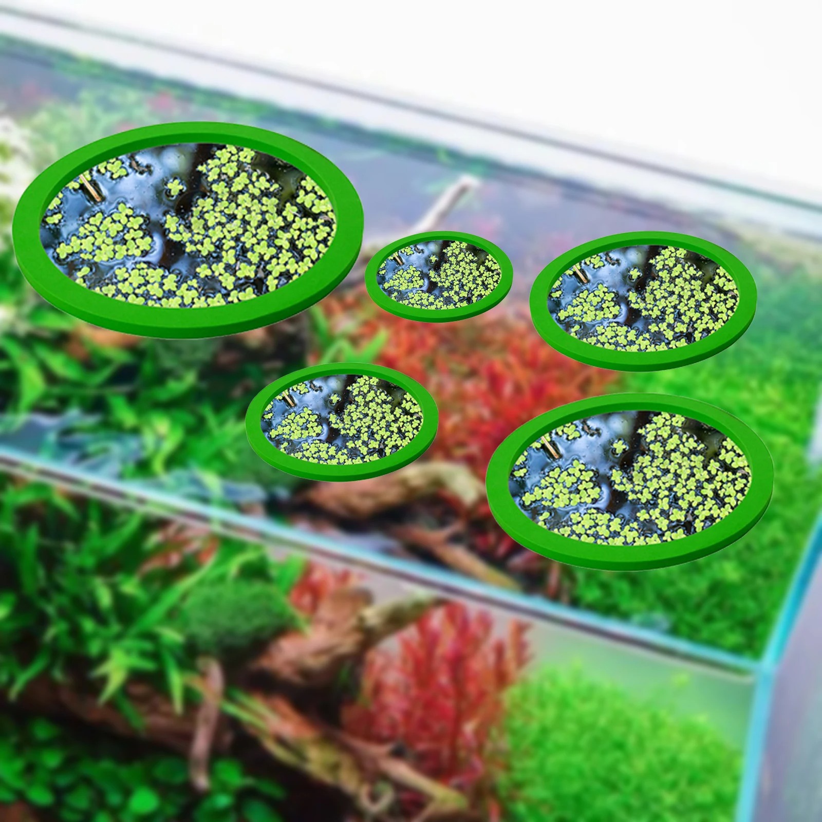5Pcs EVA Fish Feeding Ring Aqu - Aquarium Fish House のレビューと価格