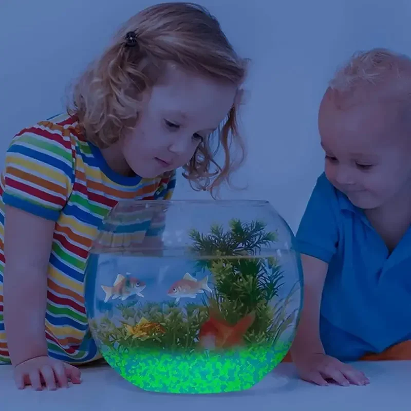 1000pcs 3-5mm Luminous Sand Gl - Aquarium Fish House のレビューと価格