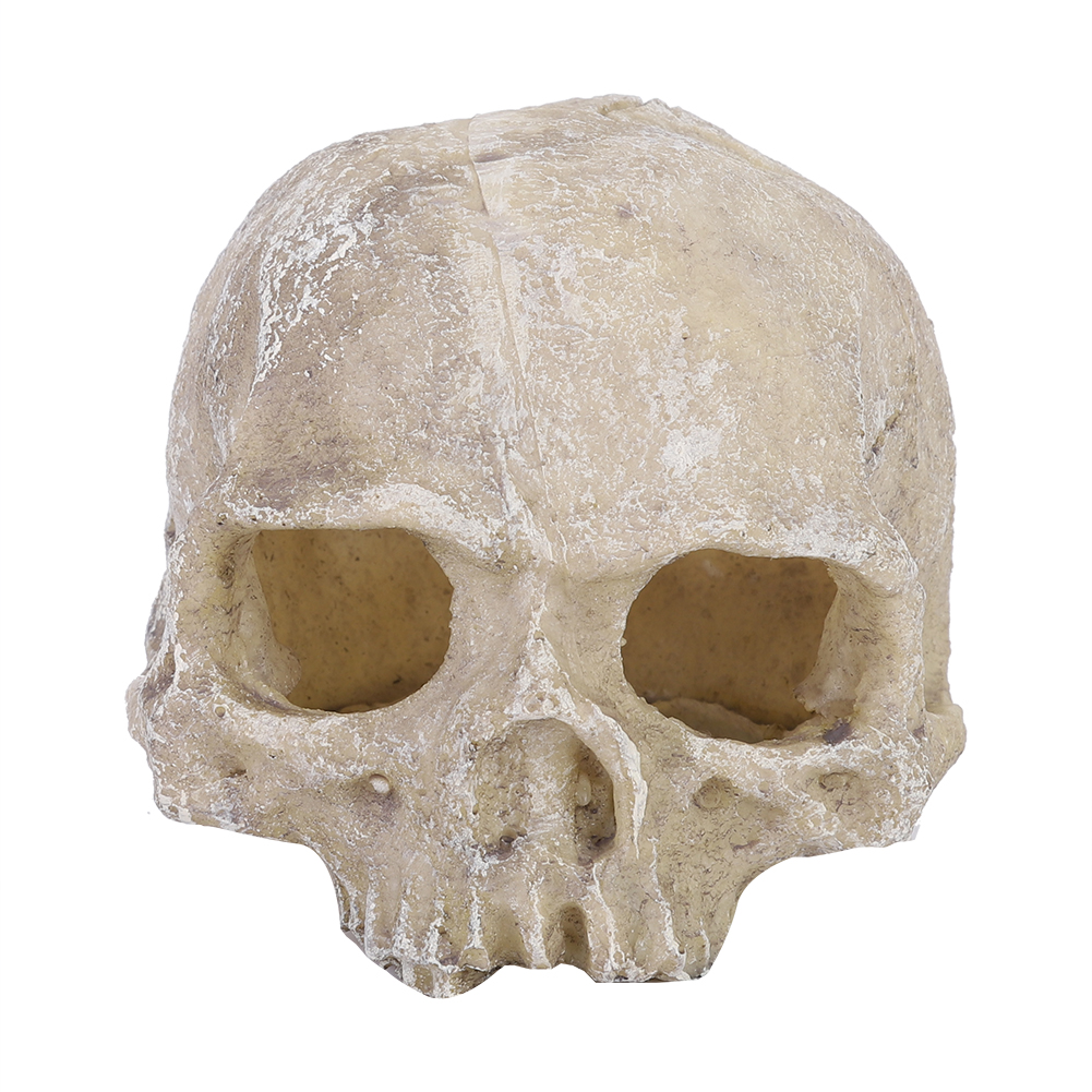Resin Simulated Head Bone Skul - Aquarium Fish Hide のレビューと価格