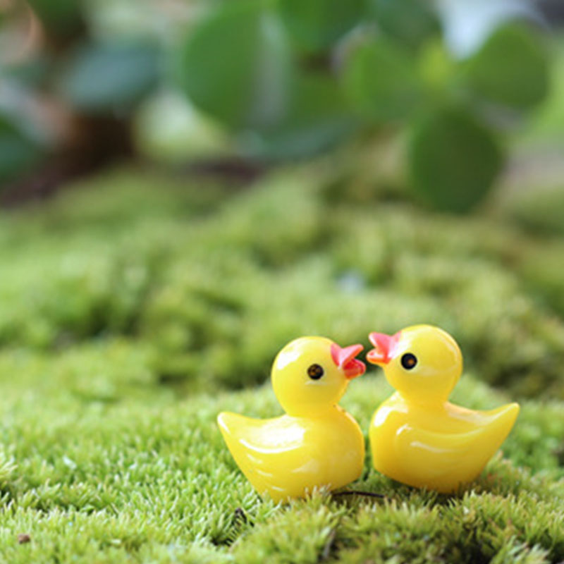 Cute Mini Yellow Duck Floating - Aquarium Fish Cartoon のレビューと価格