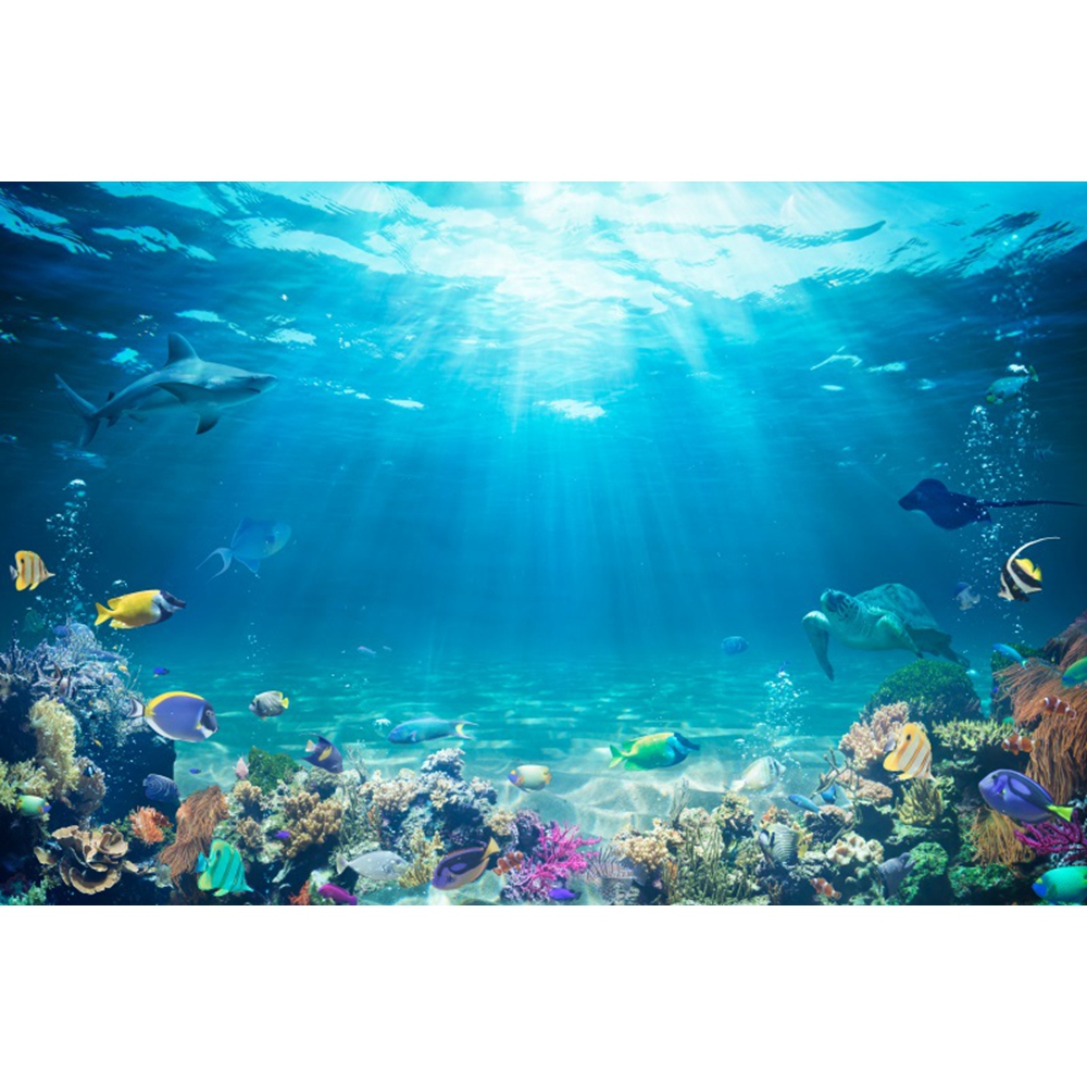 Underwater World Seabed Backdr - Aquarium Fish Of The World のレビューと価格