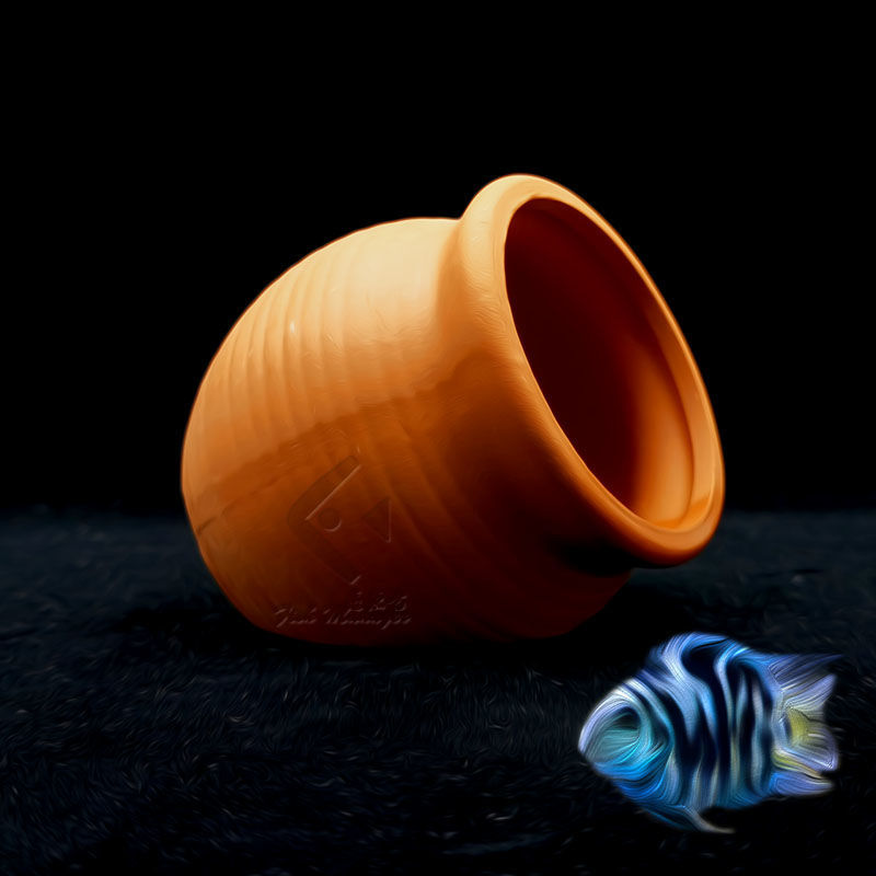 Aquarium Mini Ceramic Tank Fis - Aquarium Fish Hide のレビューと価格