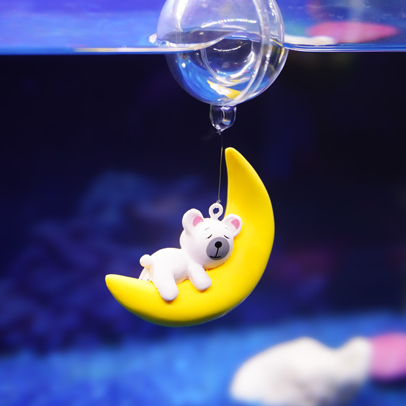 Aquarium Lovers Moon Bear Dive - Aquarium Fish Of The World のレビューと価格