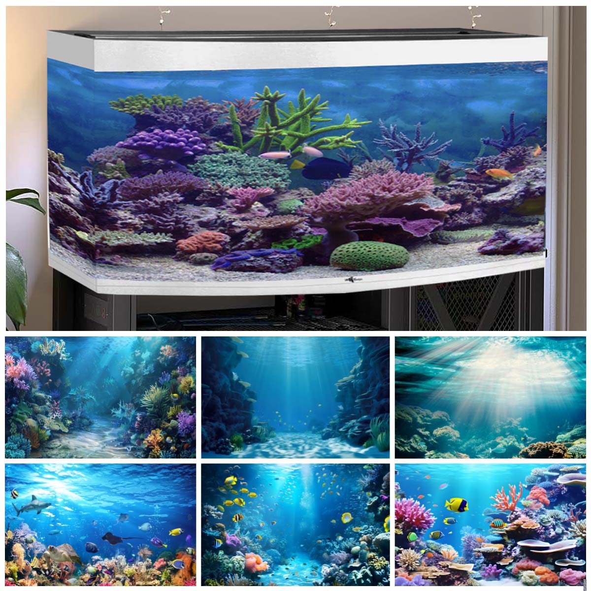 Underwater World Backgrounds f - Aquarium Fish Of The World のレビューと価格