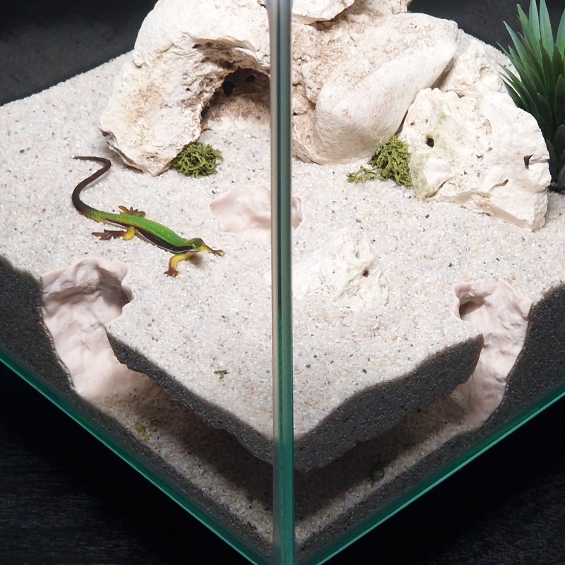 3DPrinted Fish Tank Tunnel She - Aquarium Fish Hide のレビューと価格