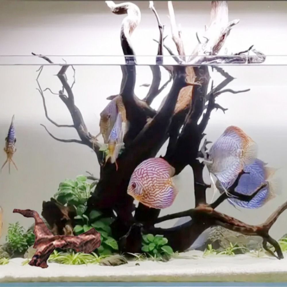 Creative Irregular Shape Coral - Aquarium Fish Hide のレビューと価格