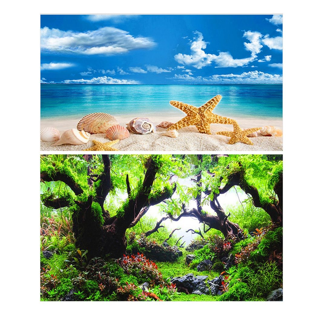 3D 1 pcs Duble-sided for Fish  - Background Film 3D のレビューと価格