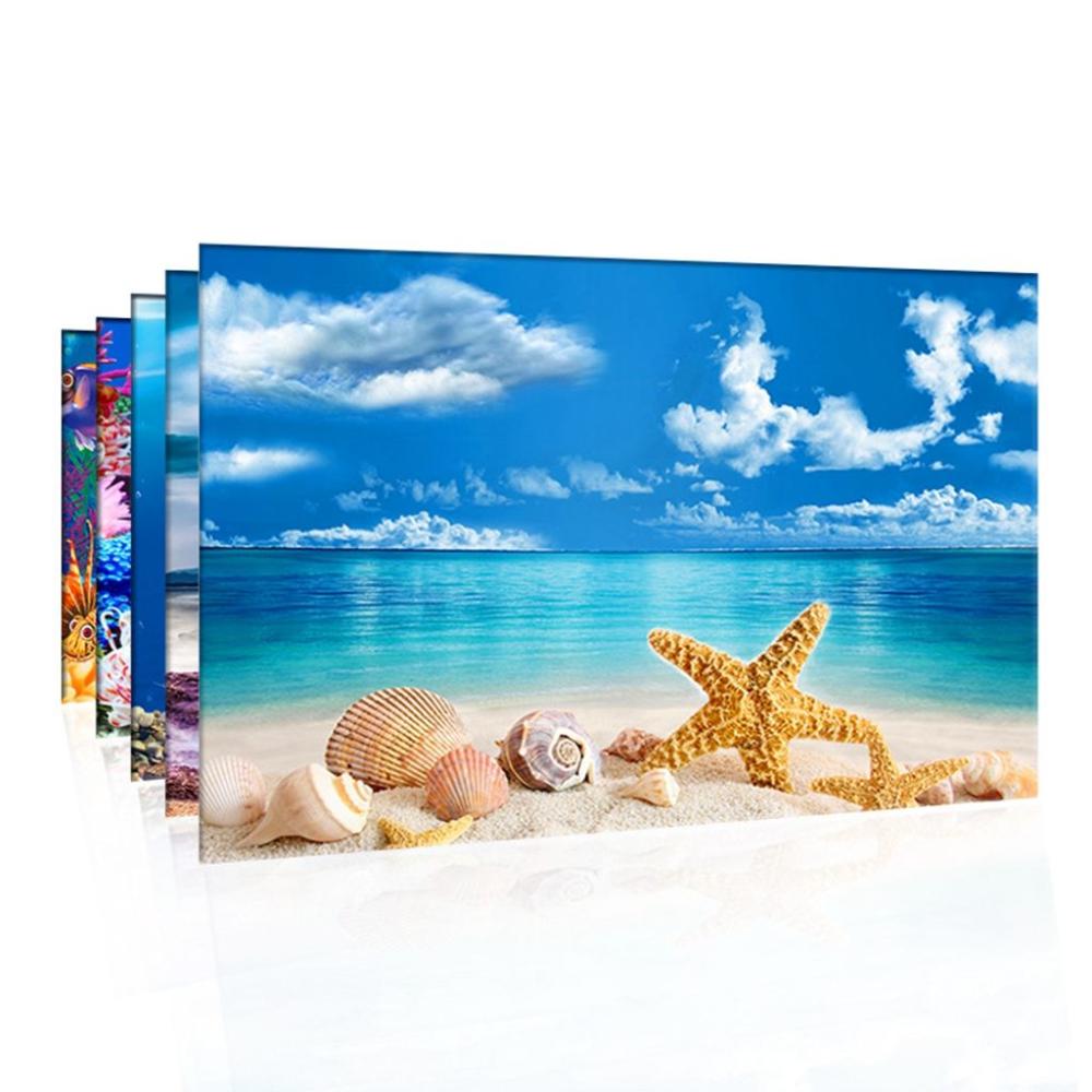 3D 1 pcs Duble-sided for Fish  - Background Film 3D のレビューと価格