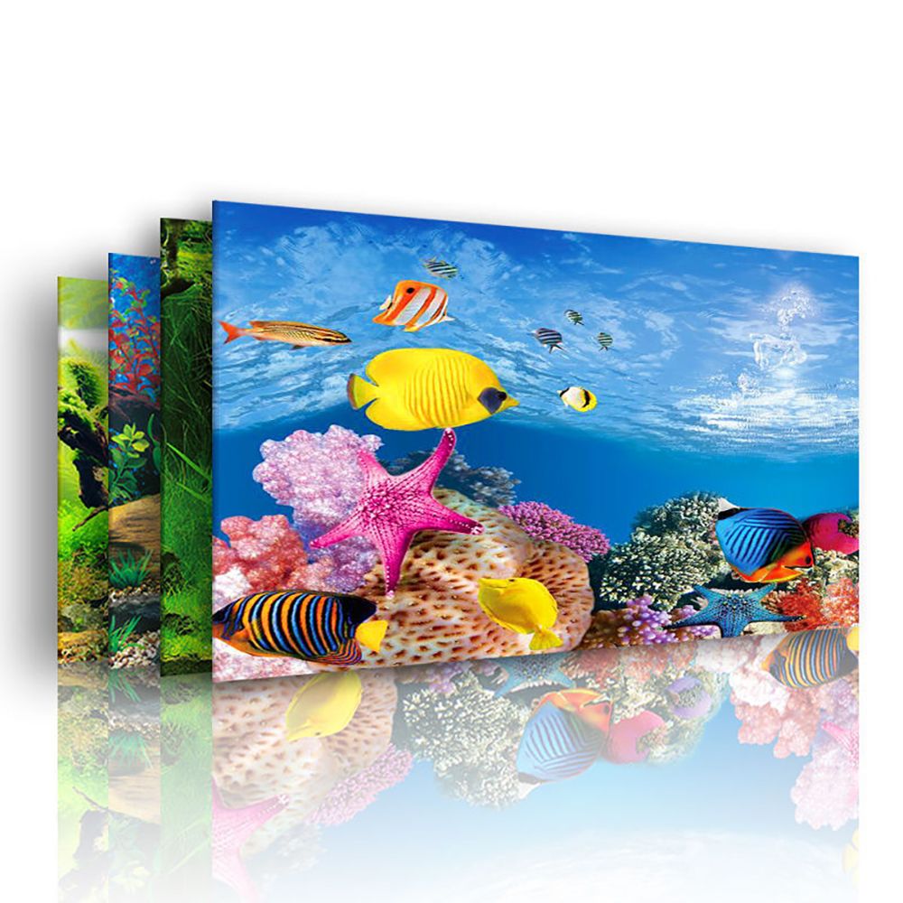 3D 1 pcs Duble-sided for Fish  - Background Film 3D のレビューと価格