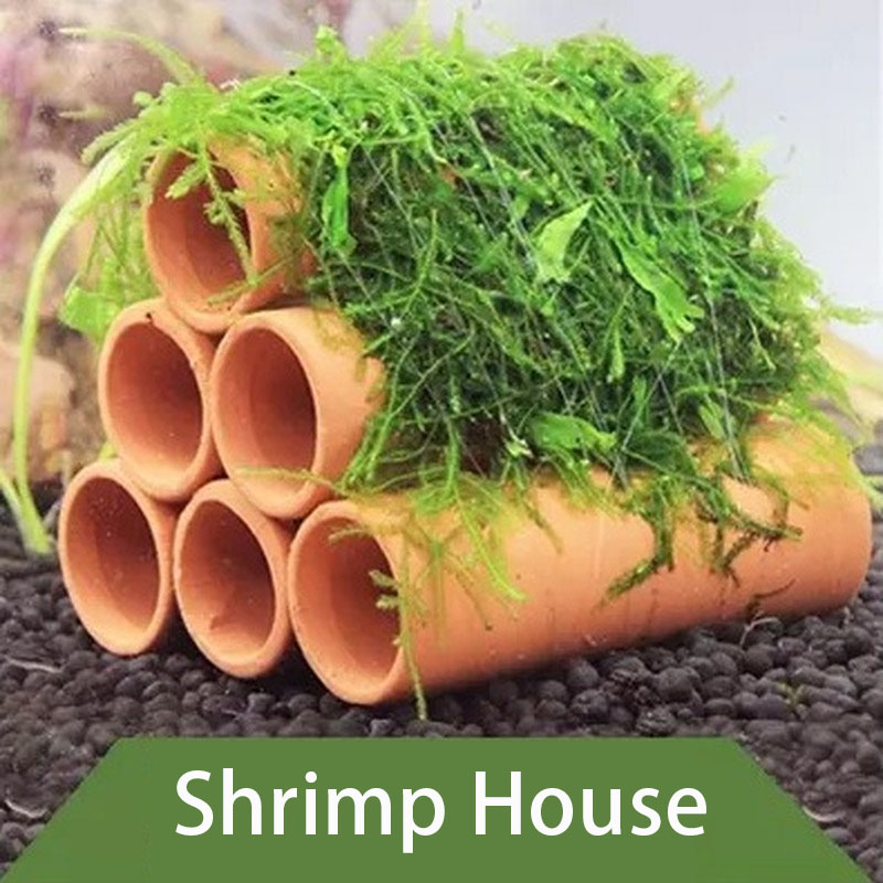 Clay Aquarium Decoration Fish  - Aquarium Fish Hide のレビューと価格
